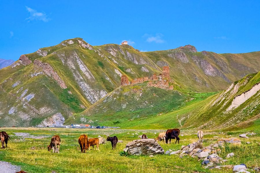 Experience the Best Scenic Views in Kazbegi for Nature Lovers